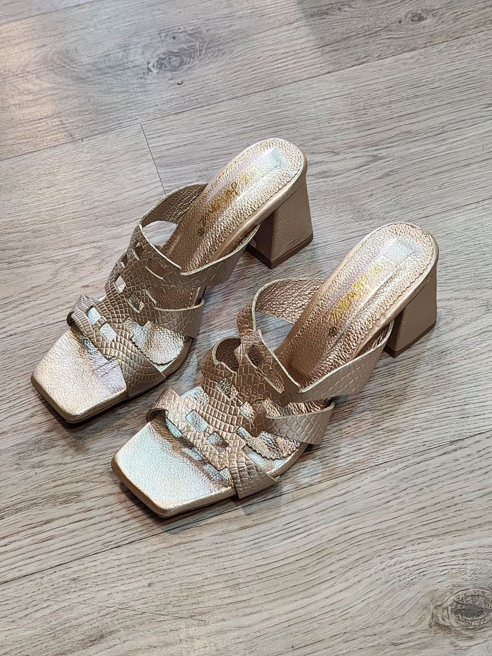Zapatos dama