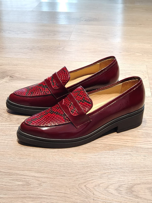 Zapato Elvia dama