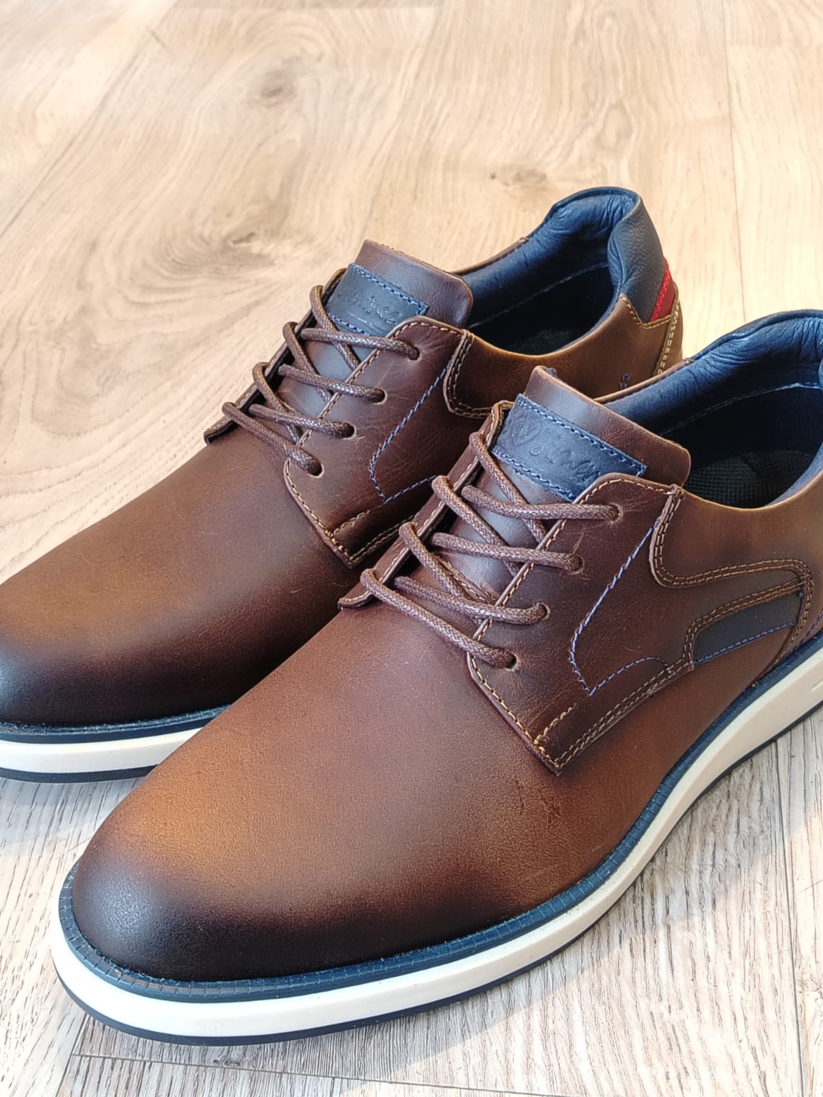 Zapato 2087 Caballero